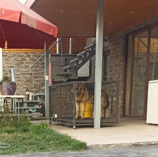 Perrito vive enjaulado, lo golpean y le gritan en Nva Bilbao con Padre Hurtado en
<a href="/Muni_LasCondes/">Las Condes</a>
Seguridad ciudadana no ha hecho nada, y el perrito sigue bajo maltrato. 
Ayudenme a difundir!

#bigotes #leycholito #GranGermanoCHV #Pincoya #giorgiojackson