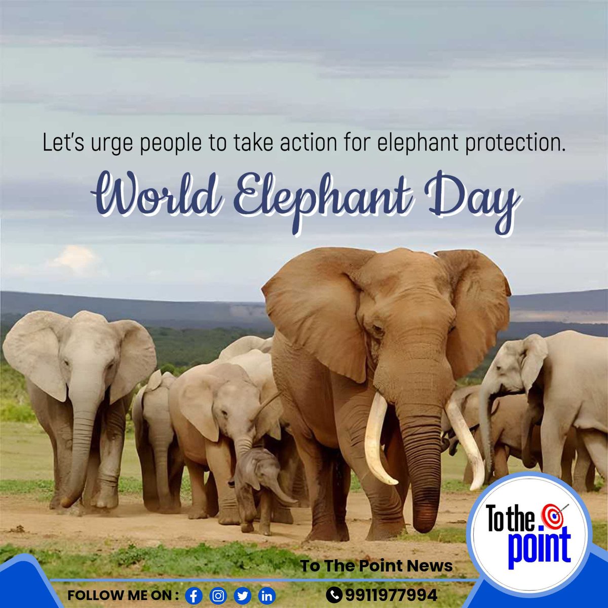 Greetings from To The Point News
 #ElephantBehavior #elephantlove #savetheelephants #Poaching #WildlifeProtection #StopPoaching #WildlifeTrafficking #elephantlovers #ElephantConservation