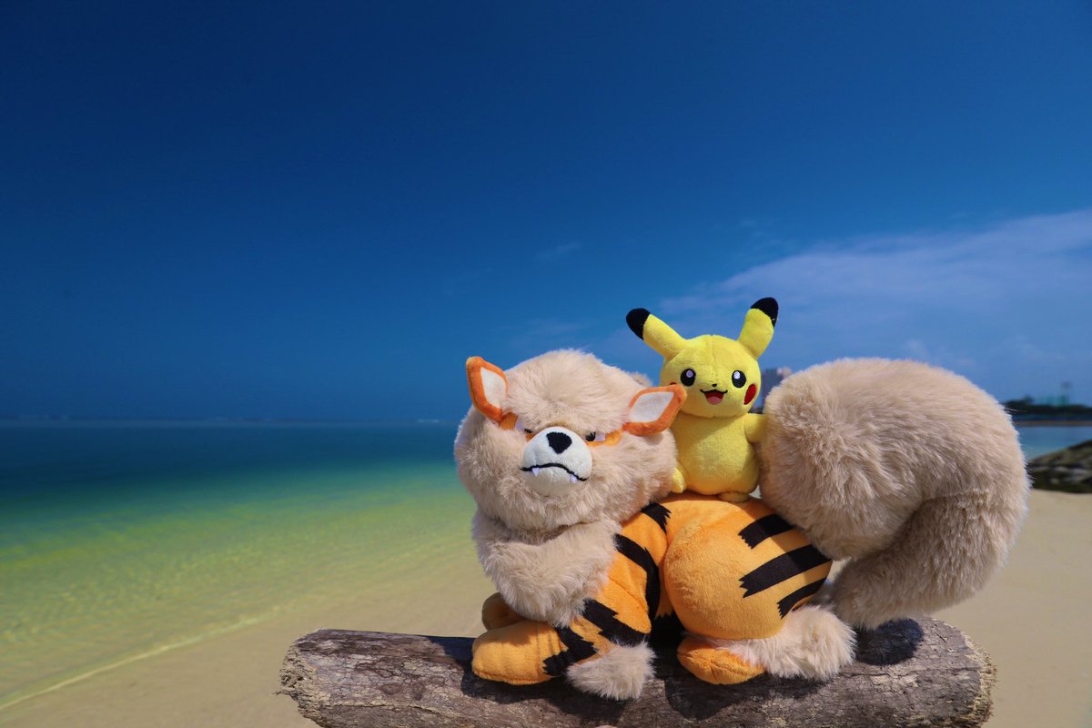 ポケモンぬい撮り 初お披露目 ??? ウインディ＆ピカチュウ 