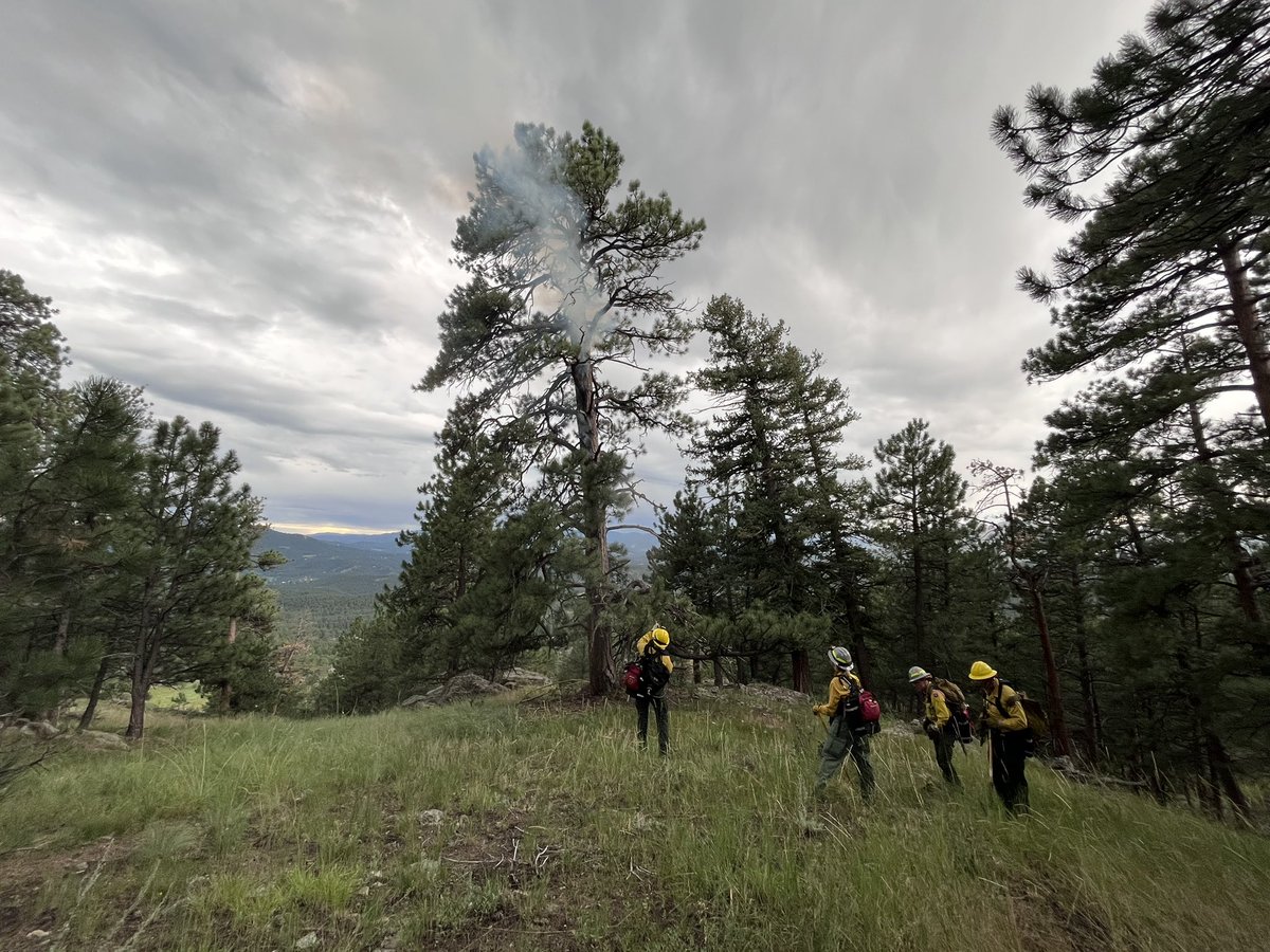FireFoothills's tweet photo. Foothills Fire and @GFR_co are on scene of a single tree fire in 26000 block of Chief Hosa Road. There are no evacuations. https://t.co/pIS1IY4x69