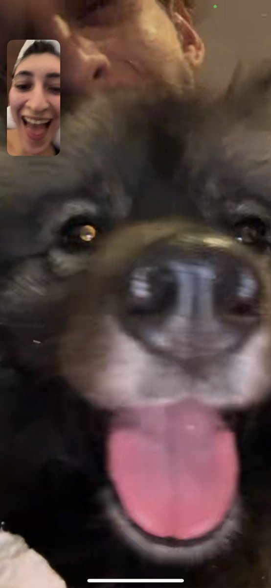 Bellie FaceTimes 🥰🥰🥹