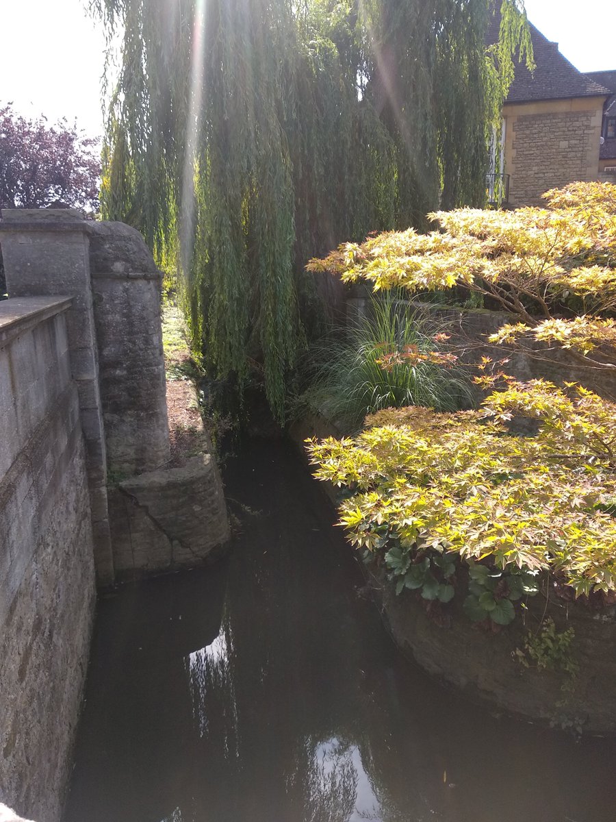 mey_ame_sis's tweet image. beautifull corner

#inthecorner
#SunshineDays