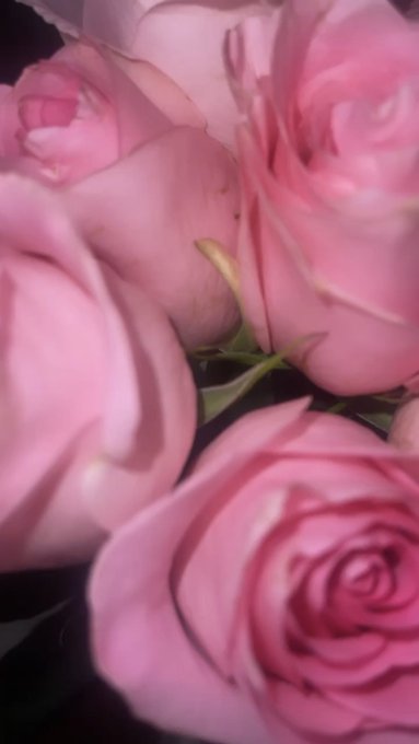 when he pull up with flowers>>> https://t.co/KpU27FAVgq