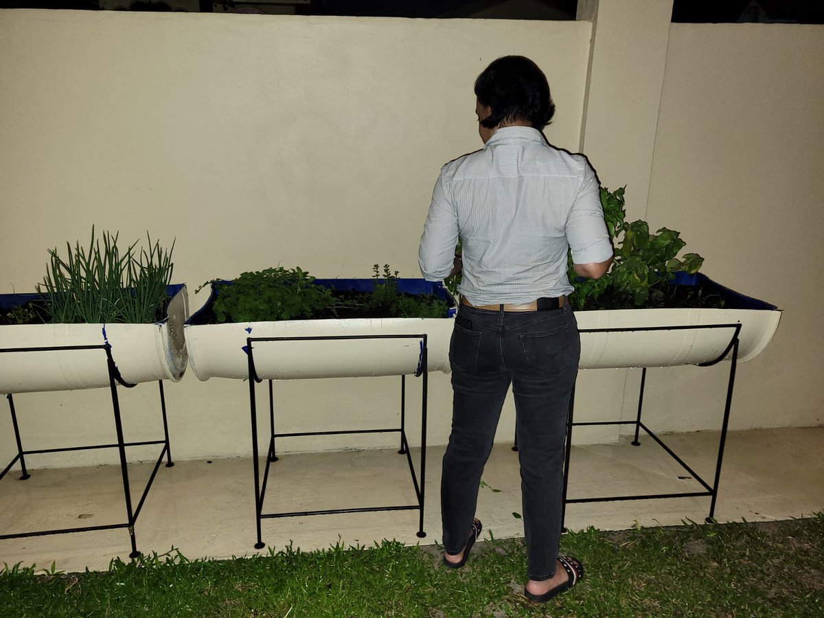 Not enough yard space for gardening? All you need is some half drums and metal frames. Started a herb garden of recent to help me relax after a hard day. It’s easy to manage, especially if you’re inexperienced like I am.
