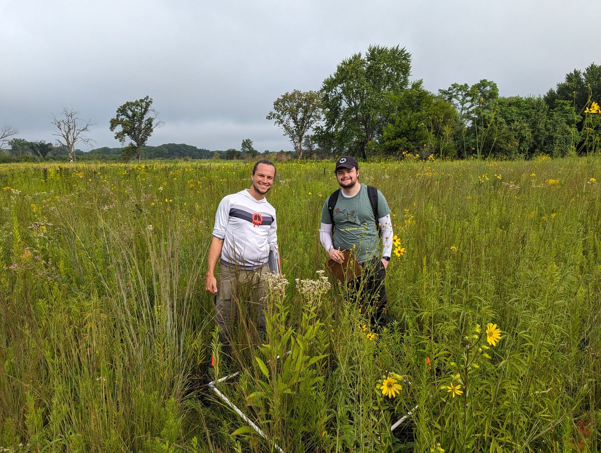 grillolab's tweet photo. It was a busy week of field work measuring plant diversity in prairie restoration plots with different AMF treatments. Fortunately we had a stellar crew from my lab and Joanna Weremijewicz's lab @PlantsAndFungi. Special thanks to @flydrocarbon and @rovitoscience. https://t.co/x1GPySgU3d