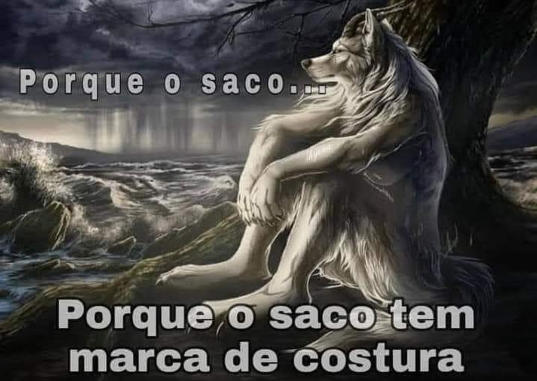 Shitpost só que de verdade (@shitpostverdade) on Twitter photo 