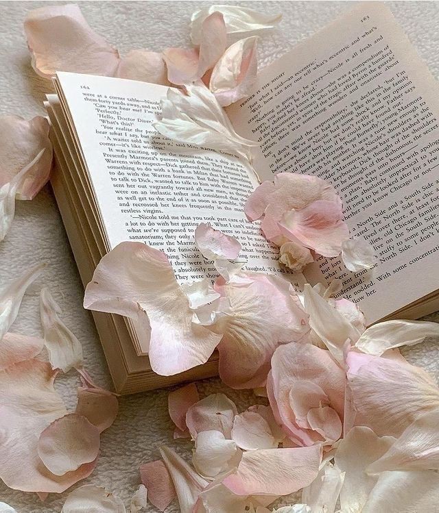 -Day 3-

   Hi, It's me Sheb💗,and I'm looking for #moots !

— she/her ;'06
— not new to #kpoptwt &amp; #stantwt
— any fandom is welcome !

♡ / ↺ are appreciated ; to spread