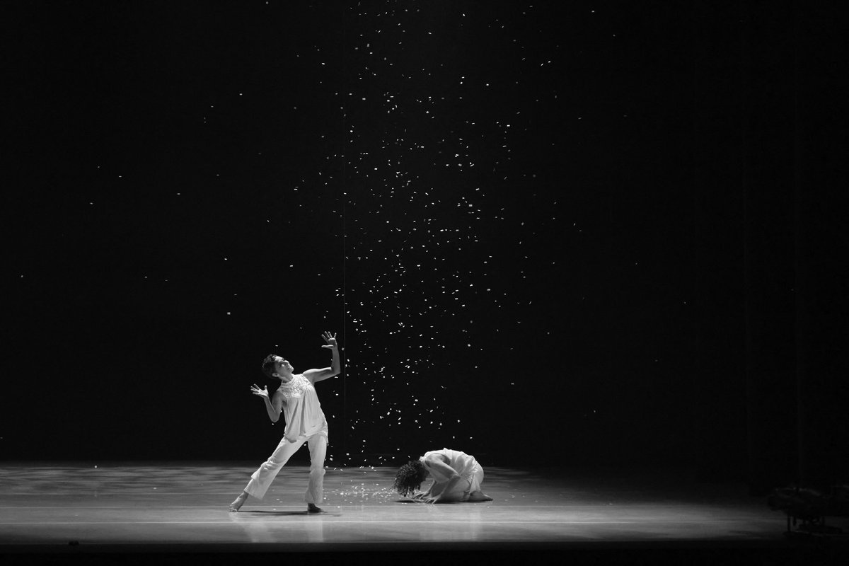 Jp_fotografo's tweet photo. MICELIO

@MdMarDanza 

@cenartmx

#danza 
#Micelio
#Fotografia
#fotografiaescenica 
#CENART 
#JPfotografo 
#CXMX https://t.co/pgU9Ch8ZIp