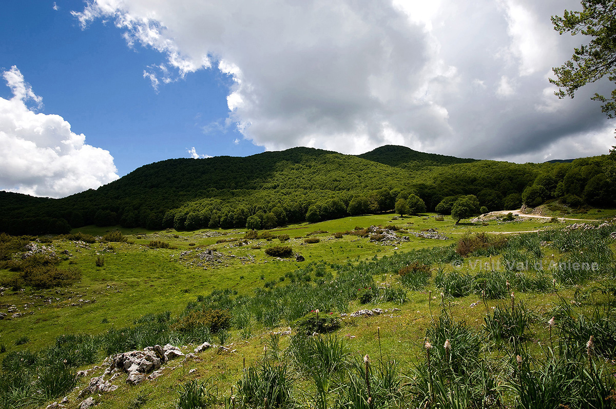 visitvaldaniene's tweet photo. Un tuffo nella bellezza dell'Altopiano di Campo della Pietra, a #Vallepietra, nel Parco dei Monti #Simbruini. Un paesaggio che invita a staccare la spina e connettersi con la natura. Segui il link e inizia a sognare ad occhi aperti  https://t.co/PgKvDMbdn9
#valdaniene #LazioIsMe https://t.co/fkklr66kqC