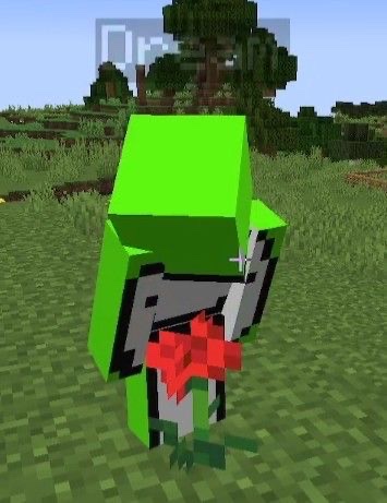 HAPPY BIRTHDAY DREAM!!! 💚💚
A rose (poppy) for you 🌹