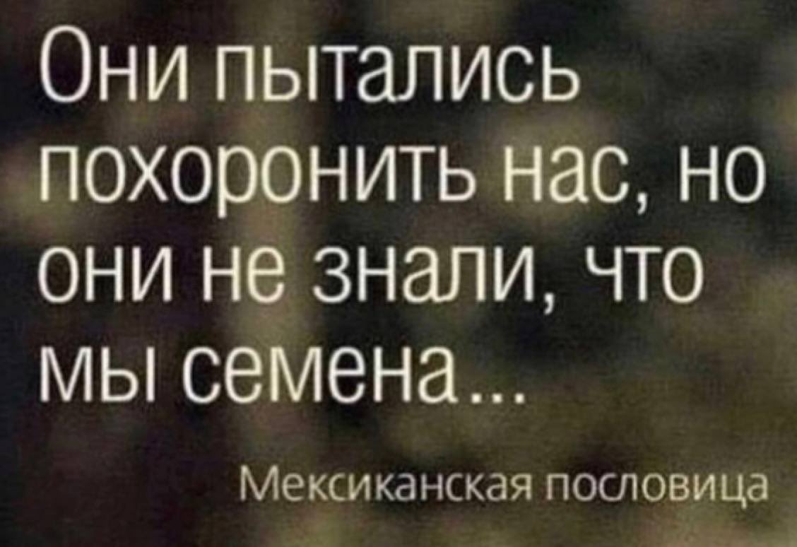 Stas Kirov (@kirov_09) on Twitter photo 