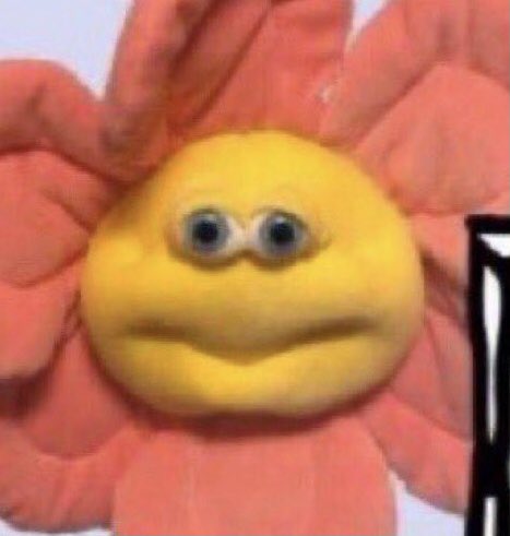 don’t be leading this poor boy on