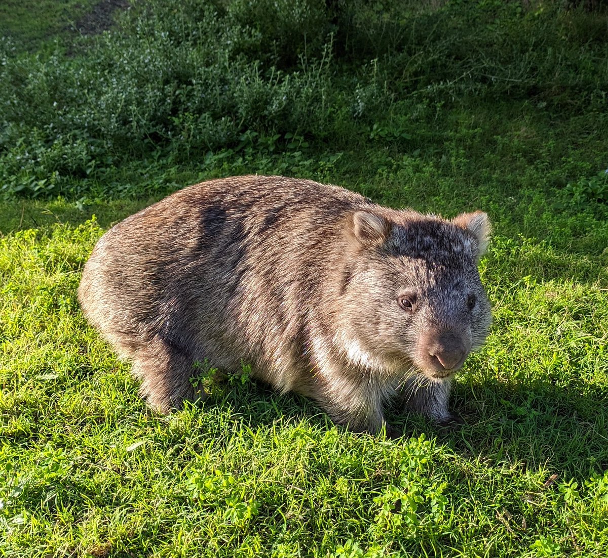 Rupert Dance tweet media