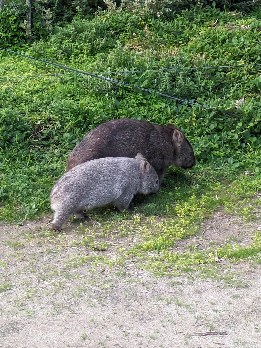 Rupert Dance tweet media