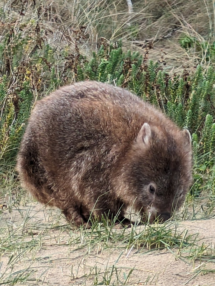 Rupert Dance tweet media