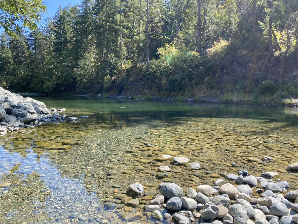 I’ve been enjoying lots of time in nature - especially the swimming. But the boating, fishing, whale watching, eagle feeding, hiking has been pretty good too 😄🌲#AHPsActive