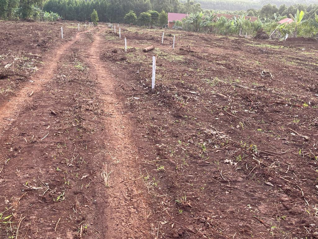 Genuine Plots on sell in Katende on masaka road with agreement 2km from tarmac road
✅50*50= 9m
✅50*70= 13m
✅50*100= 17m 
With water and power on site, good neighborhood and easy access to hospitals and schools
Call or Whatsapp: 0701748285 or 0779930639
#digitalamarketing