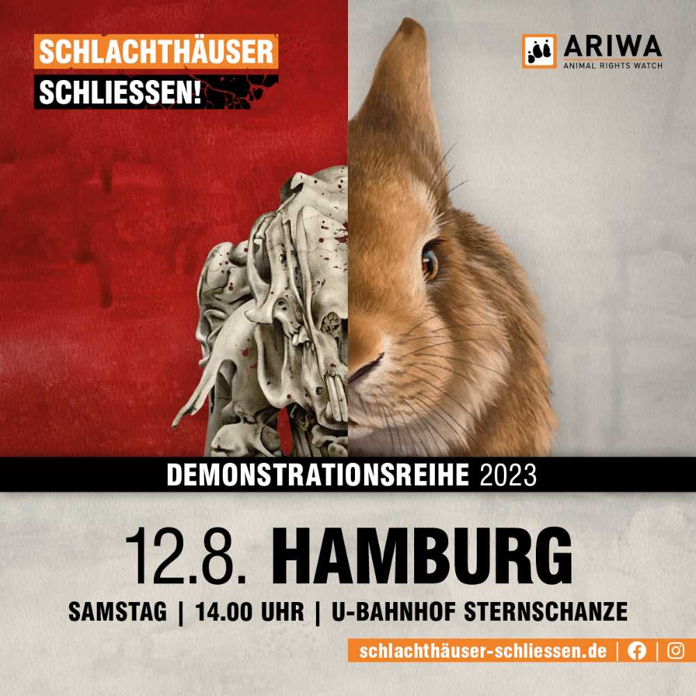 Schlachthäuser schließen - für immer und überall!
Ihr Menschen im Norden unterstützt heute hoffentlich kräftig die Demo in #Hamburg! Aus dem #landdertiere sind natürlich auch einige Menschen dort. Ab 14 Uhr startet der Protest am U-Bahnhof #Sternschanze ➡️ land-der-tiere.de/schlachthaeuse…