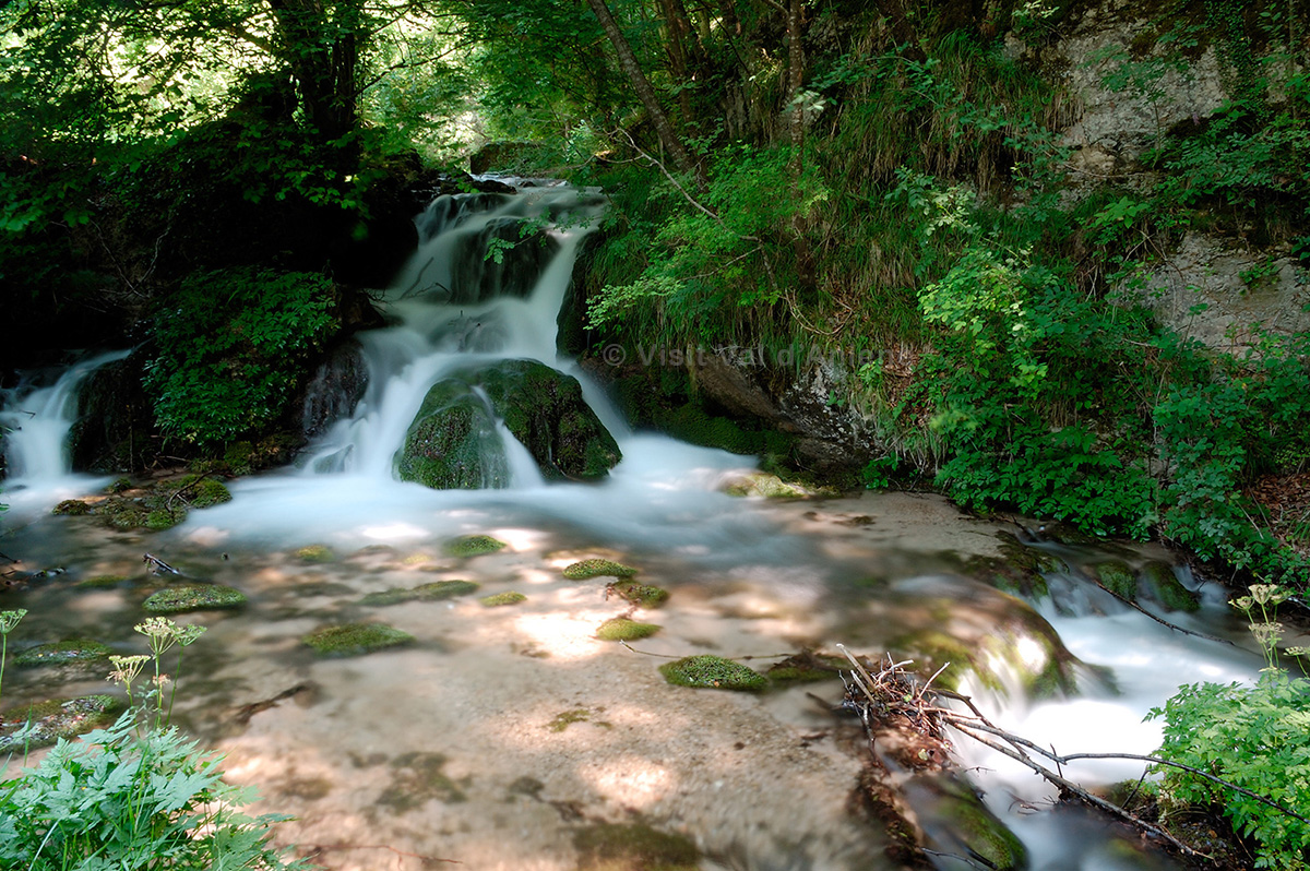 visitvaldaniene's tweet image. 🌳 Passeggiare nel bosco e riscoprire suoni, ritmi e colori di una natura incantata 🍃🌼 Dove? A Fiumata. Un'esperienza rigenerante alle sorgenti dell'Aniene💧🌿🚶♂️
bit.ly/445fLK6
#filettino #simbruini #valdaniene