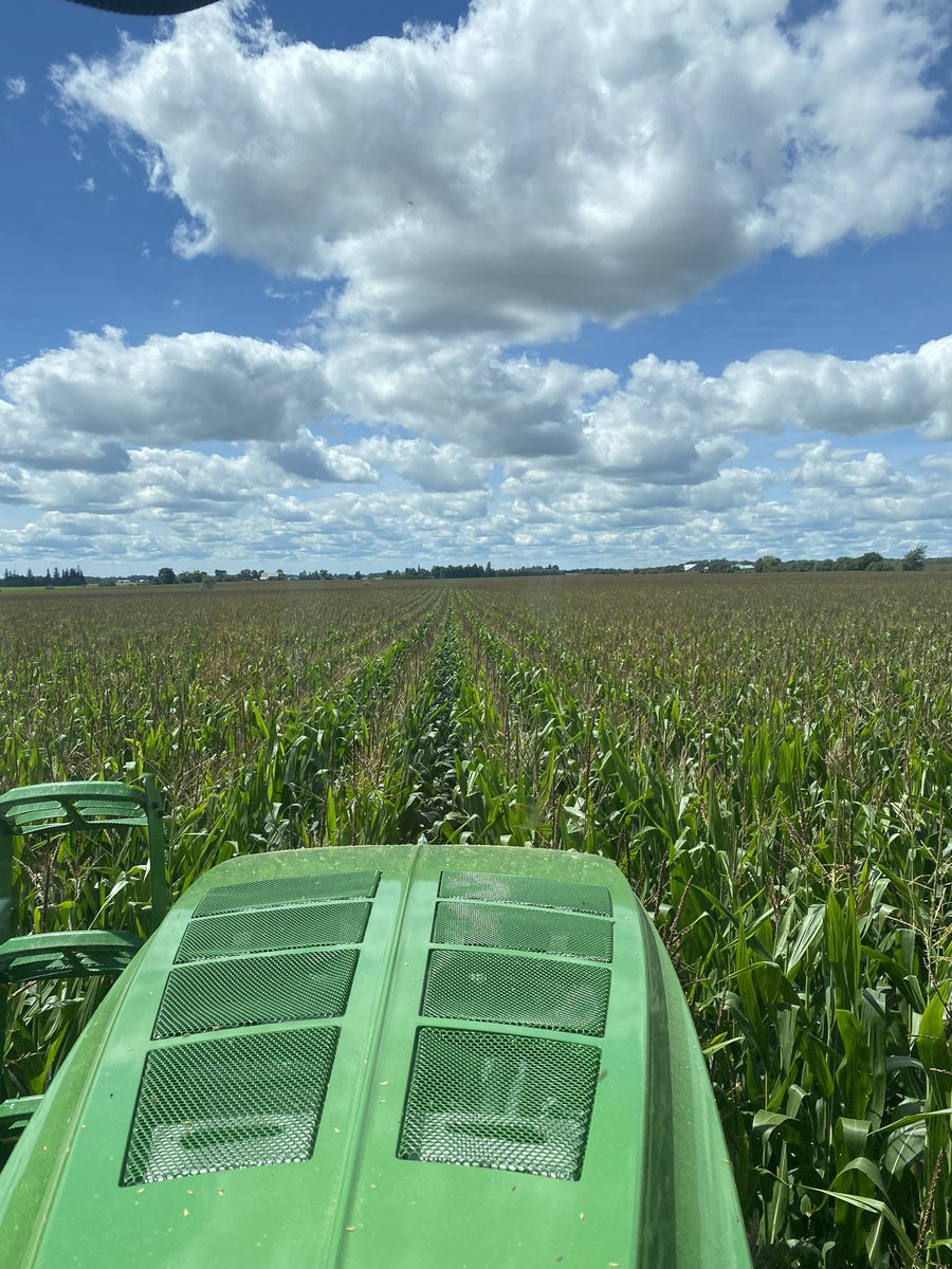 ROBERT SAUDER (@deere4044120) on Twitter photo Beautiful day. For last full day of #mirivasneo on corn. <a href="/GarloughB/">Brad Garlough</a> <a href="/syngentacanada/">Syngenta Canada</a> @FS_PARTNERS Drayton. Beautiful day. For last full day of #mirivasneo on corn. <a href="/GarloughB/">Brad Garlough</a> <a href="/syngentacanada/">Syngenta Canada</a> @FS_PARTNERS Drayton.