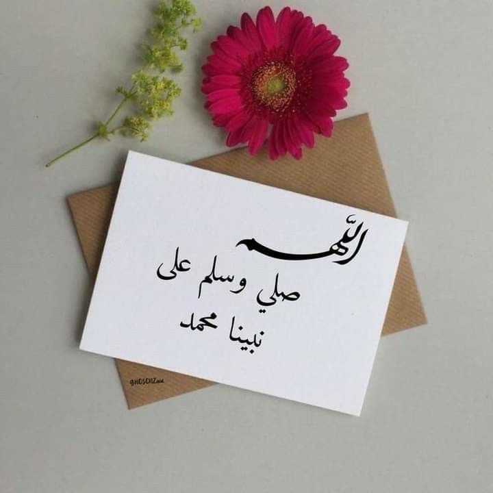 Kiaa775's tweet photo. @rosacewhite @hana_almadina https://t.co/bubKDwJP9j
