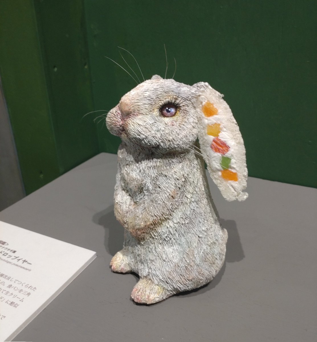 info_how's tweet photo. 【EAST】
髙橋穂足個展
「高橋生物図鑑 第9輯 ─sheer─」
想像の斜め上を行く創造。
制作秘話?!を作家さんに聞いて
みませんか?
高橋穂足さん在廊されています。
期間:2023年8月4日(金)~8月13日(日)
営業時間:11:00~17:00
会場:HOW HOUSE EAST gallery-G
#realandfancy #ImaginaryCreatures https://t.co/elhffYM06a