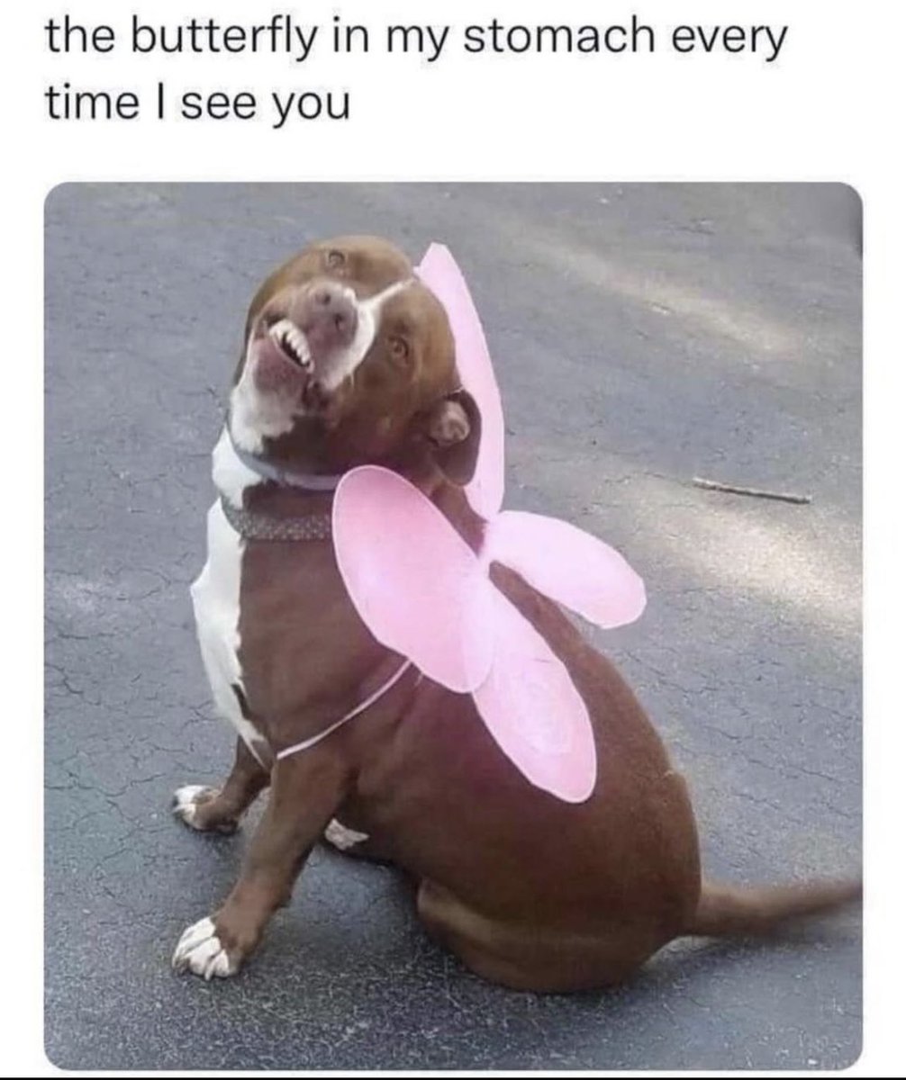 alina di pollo (@alinadipoll0) on Twitter photo 