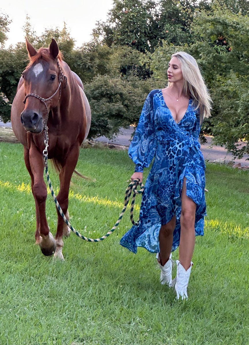 briteresi's tweet photo. 🐴💙 https://t.co/WIGjtDZ0D1