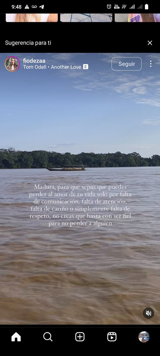 Alejandra Bernal tweet media