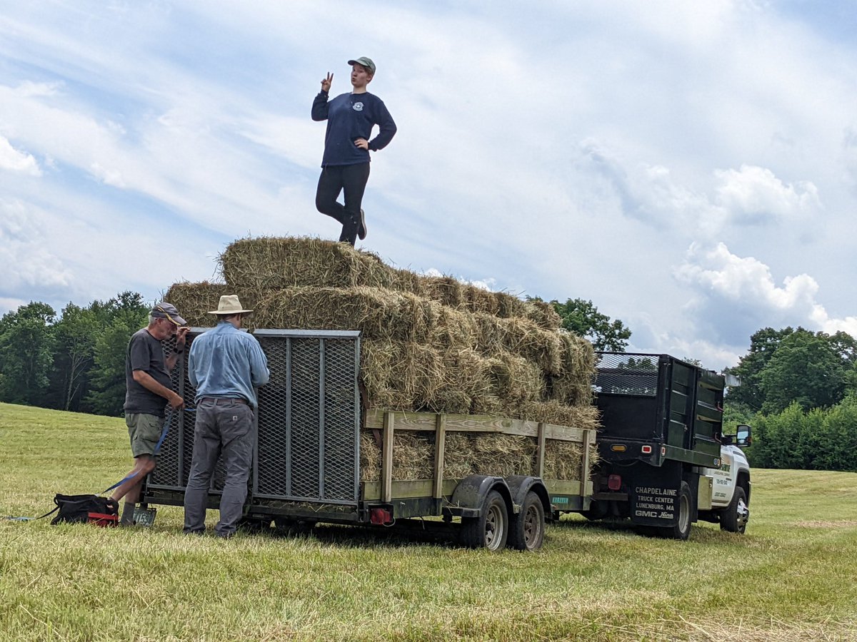 HAY!!!!
<a href="/GWLandTrust/">GWLT</a> could use your help this SAT loading up hay bales in Spencer at 4pm
&amp; unloading them into the sheep shed at #DonkerFarm 5:15pm

This is our big run of the year! Hands helping out are absolutely to die for! The sheep thank you!
Tell your family &amp; your friends!