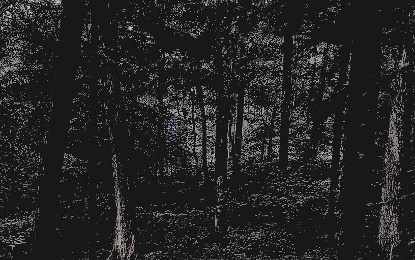 ‍ ‍𝓪𝙨𝙝𝙡𝙚𝙮. ‍ ‍ (@eaglewlngs) on Twitter photo 