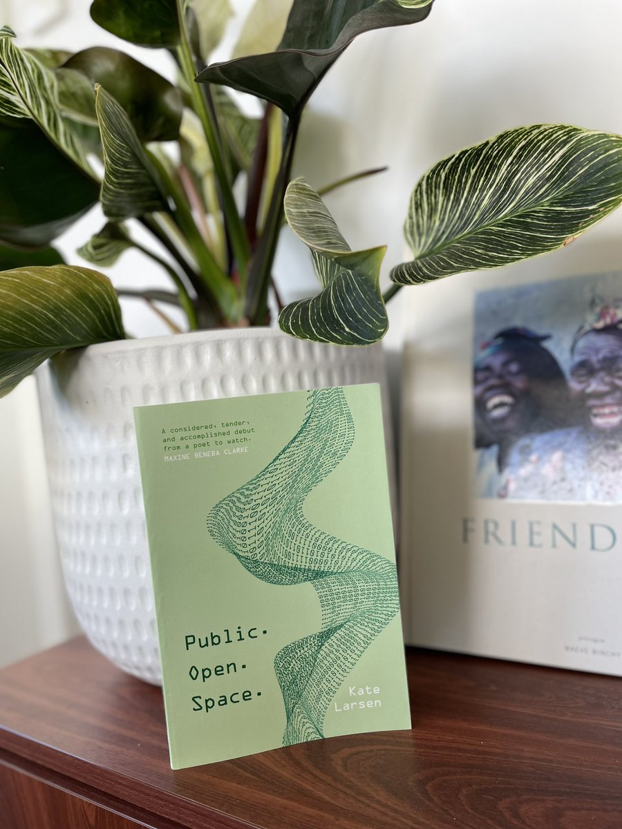 ebonyfrost's tweet photo. Public. Open. Space. 📗
Thought-provoking, insightful, heartfelt … this is #poetry at its best. Laughter, tears, a-ha moments galore. A must-read book for 2023 by @katelarsenkeys ❤️🙌👊

#bookreview #poetry #australianauthor #bookswelove #bookshelf #WritingCommunity https://t.co/i8jhRuEQGb