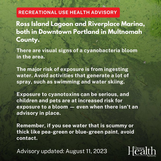 Recreational use health advisory. Ross Island Lagoon and Riverplace Marina, both in Downtown Portland in Multnomah County. Major risk of exposure is from ingesting water. Exposure to cyanotoxins can be serious, and children and pets are at increased risk for exposure. Remember, if you see water that is scummy or thick like pea-green or blue-green paint, avoid contact. August 11, 2023.