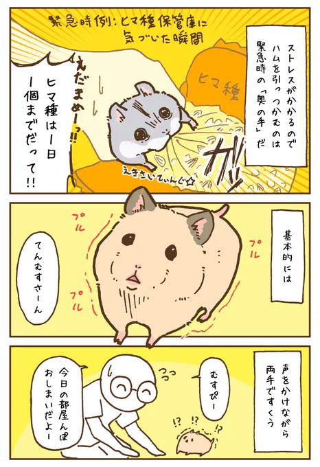 てんむすさんを抱っこする 
