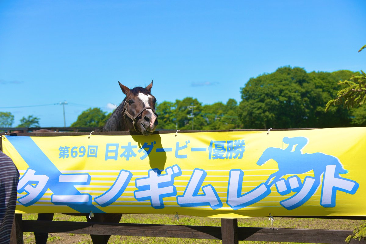 RT @suzuma555: 🐴＜どうも。私が第69代ダービー馬の
