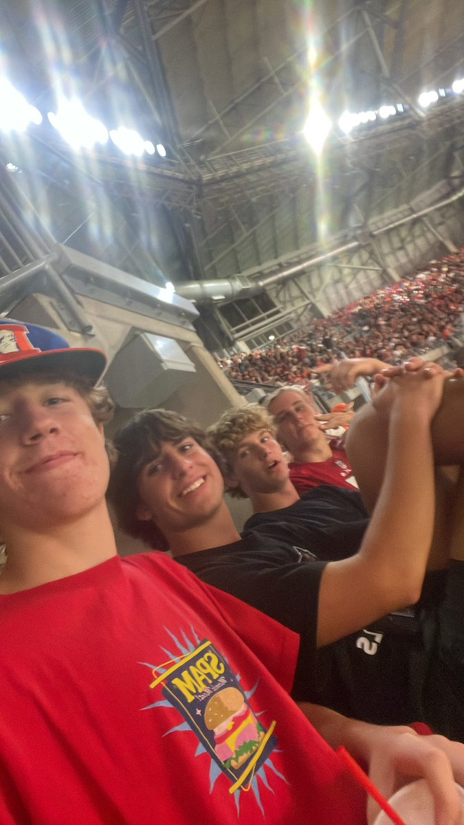 #birdgang #cardinals