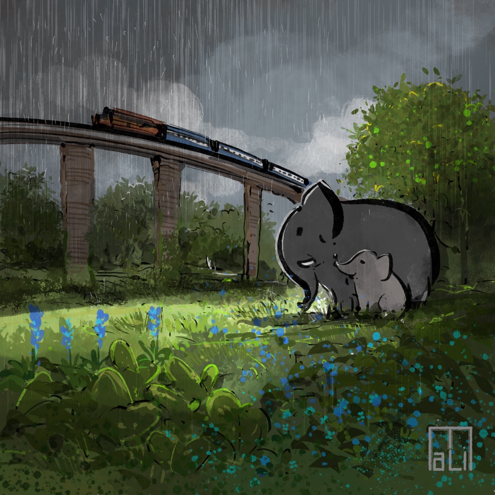 Wish infrastructure and nature could coexist
#WorldElephantDay2023
