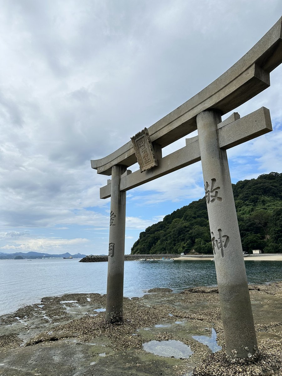 kaz003's tweet image. 今日（8/12）のNeRF

波方の絶景スポットを空撮した動画から3Dモデルを作ってから、好きなカメラアングルでFPVドローンで飛び回るような映像にしてみました、の動画。
撮影地／七五三ヶ浦海岸と御崎神社の鳥居

#dji
#mini3pro 
#photogrammetry 
#フォトグラメトリー
#NeRF
#LumaAI
#LumaLabsAI