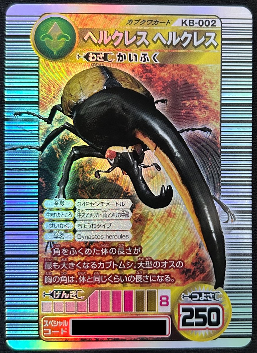 カブトクワガタ ~ゲーつくっ!!(ゲームをつくる人になるっ!!)の特典