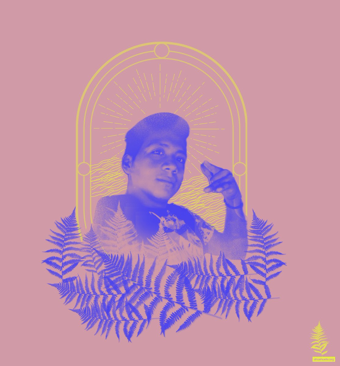 taller ahuehuete tweet media