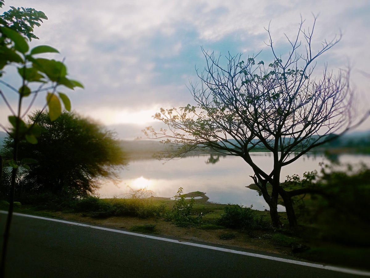 MINDKRRAFT's tweet image. #morningvibes 
...🌄
#ppty