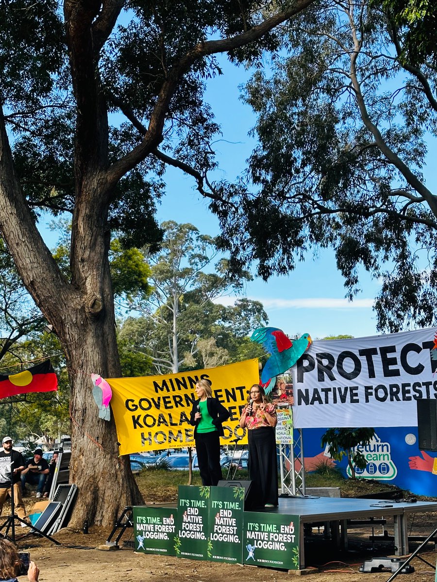 janeamanning's tweet image. Hey ALP leaders, crack down on forest destroyers, not forest protectors. 

The brilliant @MehreenFaruqi speaking to a healthy rally.

#ProtectNativeForests 
#StopNativeForestLogging