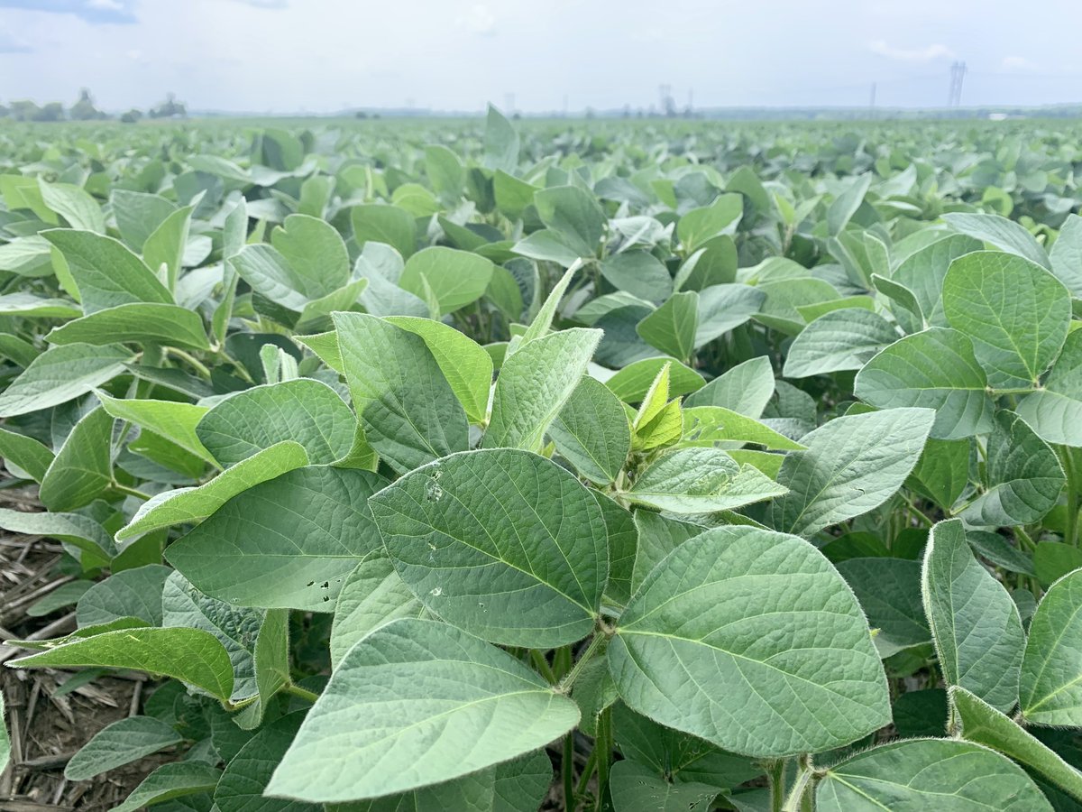 Fall Line Capital tweet media