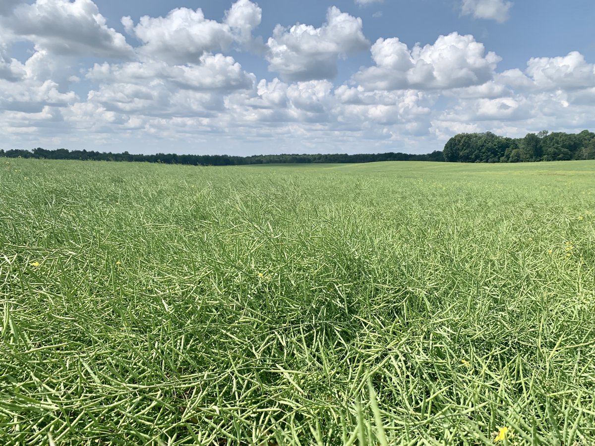 Fall Line Capital tweet media