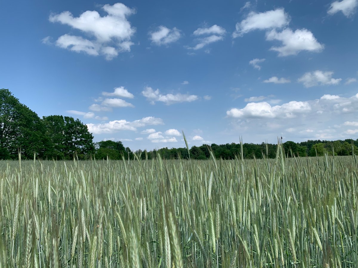 Fall Line Capital tweet media