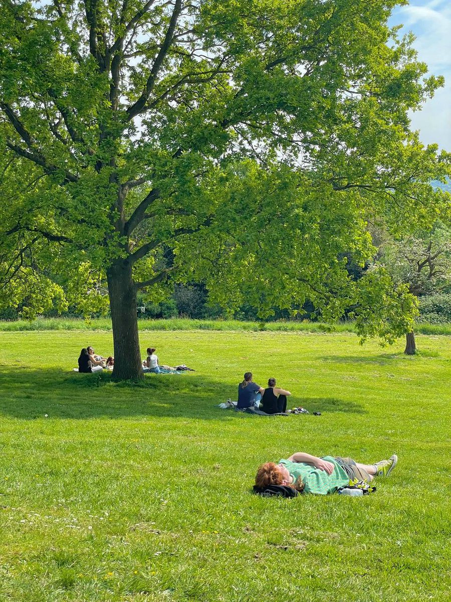 daisy23294's tweet photo. Go to the park on weekends, get away from the hustle and bustle, get close to nature, and rejuvenate. https://t.co/bDL7vpcM7F