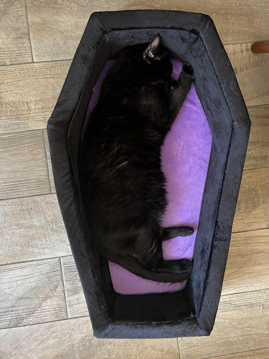 Creo que Chachito va a cambiar de nombre a “Drácula”.