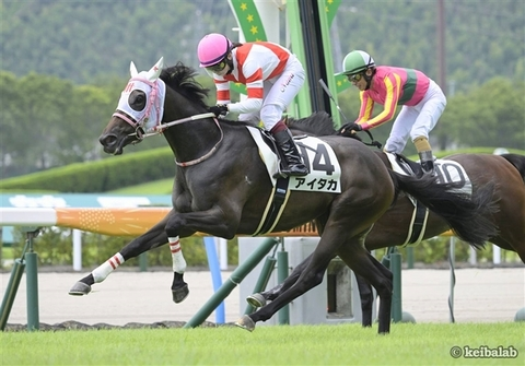 【名牝の背中を追って】
23年8月12日小倉5R新馬1着
アイタカ
Aitaka
(牝2、栗東・谷潔厩舎) 河原田菜々騎手
父エイシンフラッシュ
母ドリームアドリーム
母父ディープインパクト
馬名意味"会いたい(九州弁)"
#アイタカ #河原田菜々
keibalab.jp/db/horse/20211…
