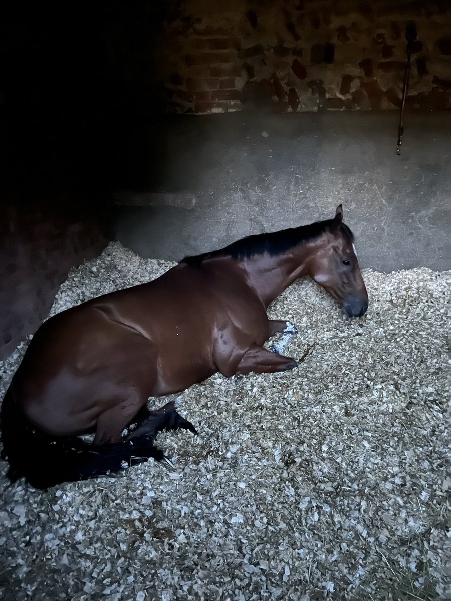 Dylan Cunha Racing LTD tweet media