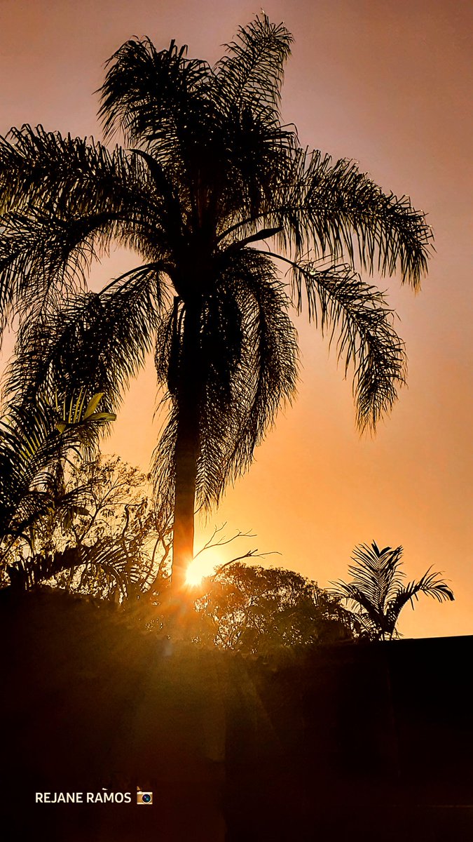 Rejane Ramos tweet media